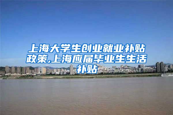 上海大学生创业就业补贴政策,上海应届毕业生生活补贴