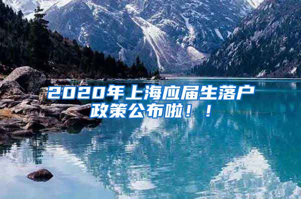 2020年上海应届生落户政策公布啦！！