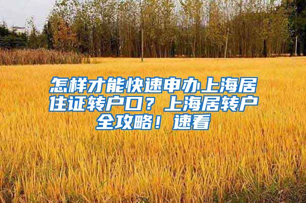 怎样才能快速申办上海居住证转户口？上海居转户全攻略！速看