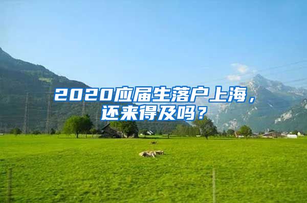 2020应届生落户上海，还来得及吗？