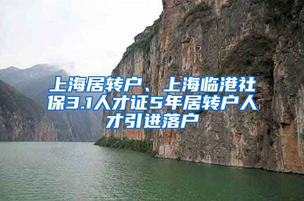 上海居转户、上海临港社保3.1人才证5年居转户人才引进落户