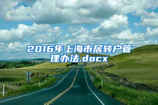 2016年上海市居转户管理办法.docx