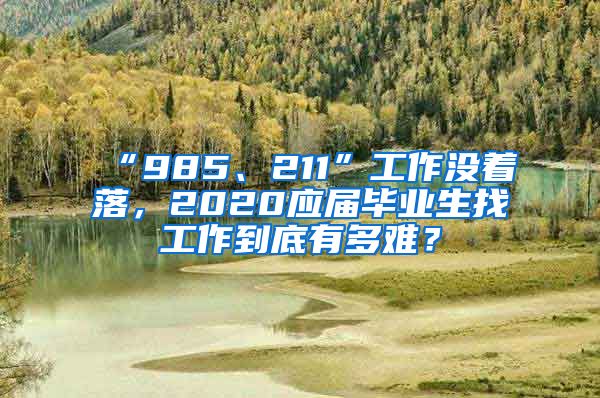 “985、211”工作没着落，2020应届毕业生找工作到底有多难？