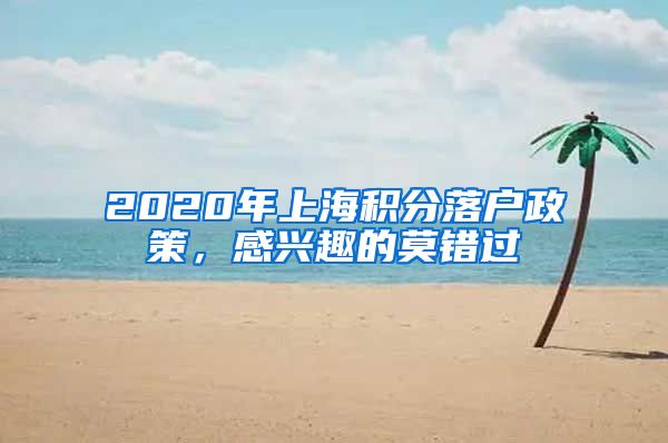 2020年上海积分落户政策，感兴趣的莫错过