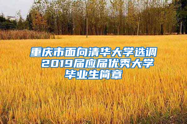 重庆市面向清华大学选调 2019届应届优秀大学毕业生简章