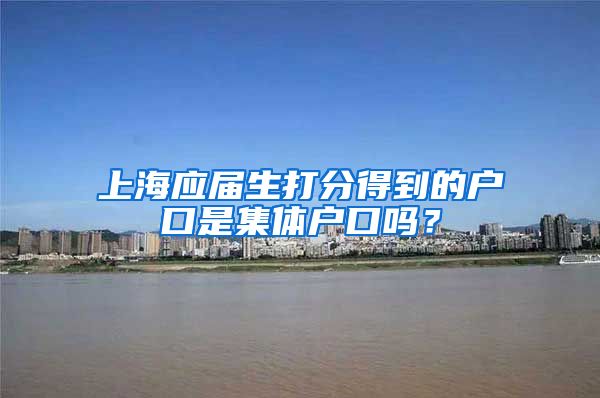 上海应届生打分得到的户口是集体户口吗？