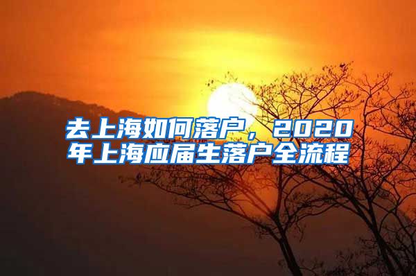 去上海如何落户，2020年上海应届生落户全流程