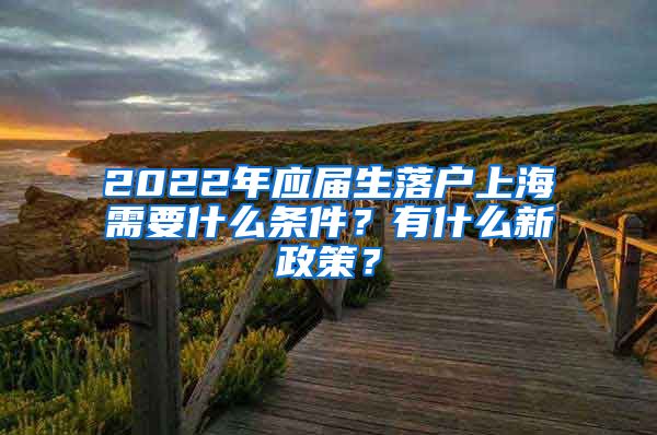 2022年应届生落户上海需要什么条件？有什么新政策？