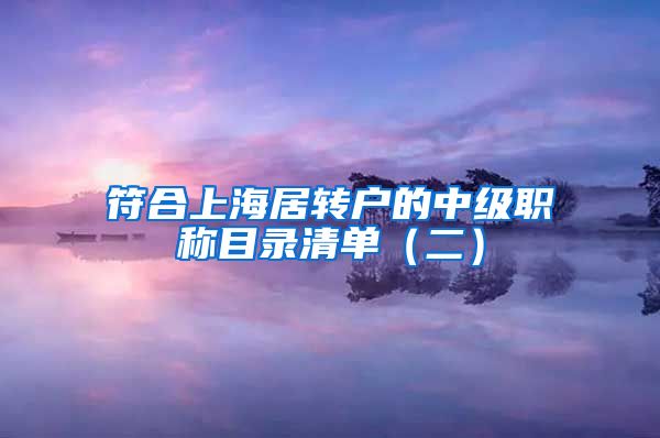 符合上海居转户的中级职称目录清单（二）