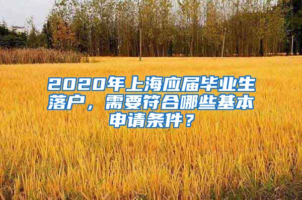 2020年上海应届毕业生落户，需要符合哪些基本申请条件？