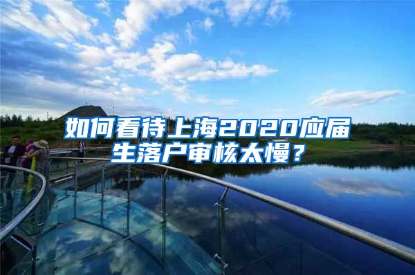 如何看待上海2020应届生落户审核太慢？