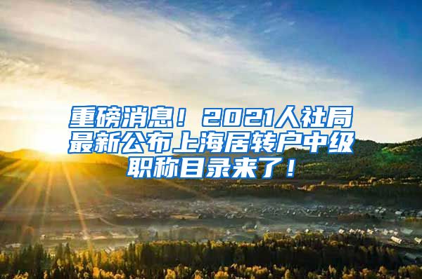 重磅消息！2021人社局最新公布上海居转户中级职称目录来了！