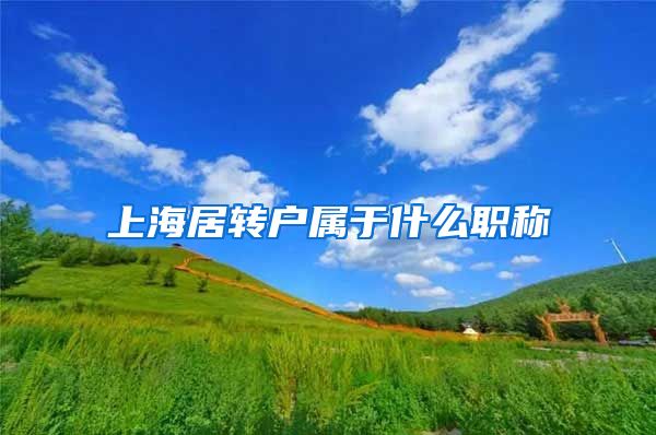 上海居转户属于什么职称