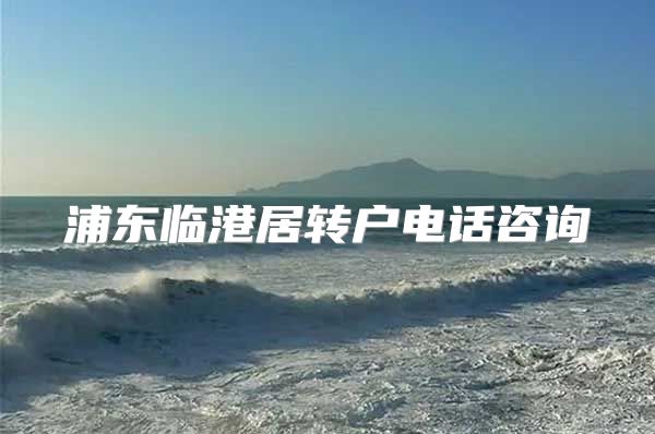 浦东临港居转户电话咨询