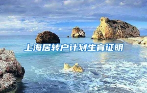 上海居转户计划生育证明