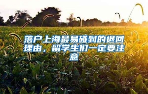 落户上海最易碰到的退回理由，留学生们一定要注意