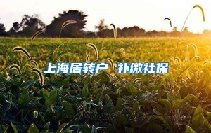 上海居转户 补缴社保