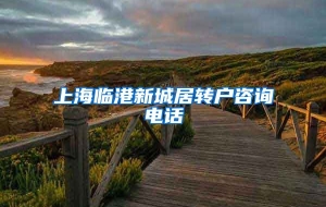 上海临港新城居转户咨询电话