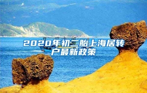 2020年初二胎上海居转户最新政策