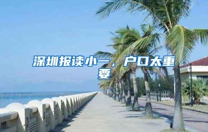 深圳报读小一，户口太重要