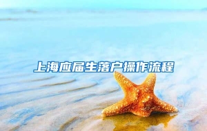 上海应届生落户操作流程