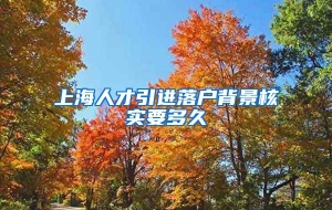 上海人才引进落户背景核实要多久