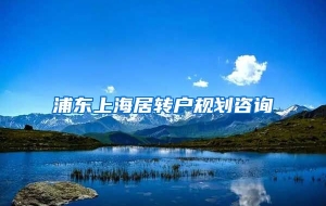 浦东上海居转户规划咨询