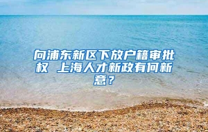 向浦东新区下放户籍审批权 上海人才新政有何新意？