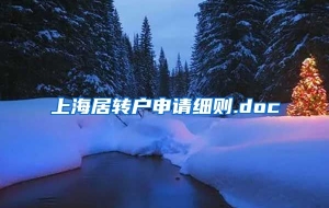 上海居转户申请细则.doc