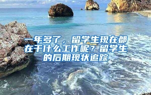 一年多了，留学生现在都在干什么工作呢？留学生的后期现状追踪