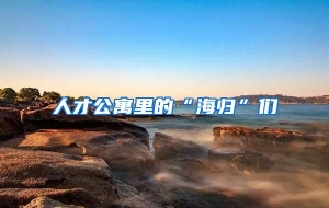 人才公寓里的“海归”们