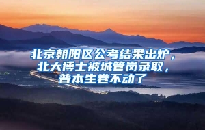 北京朝阳区公考结果出炉，北大博士被城管岗录取，普本生卷不动了