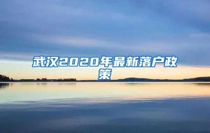 武汉2020年最新落户政策