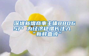 深圳新增商事主体88065户 为经济稳增长注入“新鲜血液”