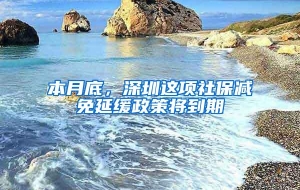 本月底，深圳这项社保减免延缓政策将到期