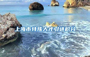 上海市特殊人才引进积分