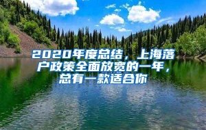 2020年度总结，上海落户政策全面放宽的一年，总有一款适合你