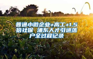 普通小微企业+高工+1.5倍社保 浦东人才引进落户全过程记录