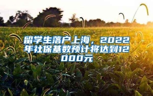 留学生落户上海，2022年社保基数预计将达到12000元