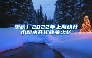 重磅！2022年上海幼升小和小升初政策出炉