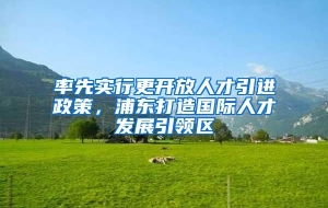 率先实行更开放人才引进政策，浦东打造国际人才发展引领区