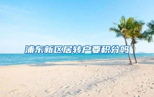 浦东新区居转户要积分吗