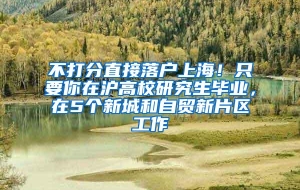 不打分直接落户上海！只要你在沪高校研究生毕业，在5个新城和自贸新片区工作