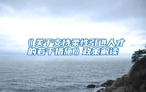 《关于支持柔性引进人才的若干措施》政策解读