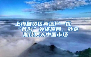 上海自贸区再落户一批“首创”外资项目，外企期待更大中国市场