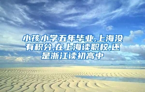 小孩小学五年毕业,上海没有积分,在上海读职校,还是浙江读初高中