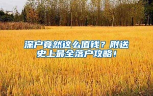 深户竟然这么值钱？附送史上最全落户攻略！