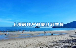 上海居转户政策计划生育