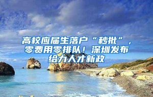 高校应届生落户“秒批”，零费用零排队！深圳发布给力人才新政