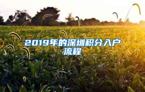 2019年的深圳积分入户流程